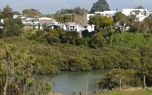 Water in Meola Creek in the heart of Auckland is not safe for drinking or swimming.