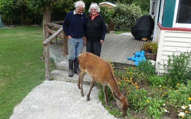 Kevin and Sandy Topp with pet fawn, who was left for dead in the wild after her mother was shot by a poacher.