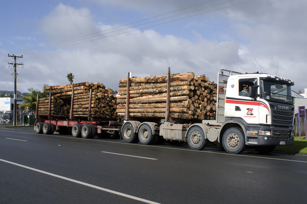 Tree trunks on a logging truck on 29 August 2013 in Kaitaia, Northland. 