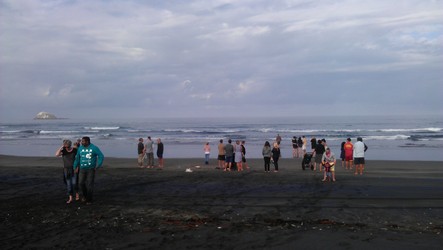 A blessing ceremony was held at Muriwai Beach.