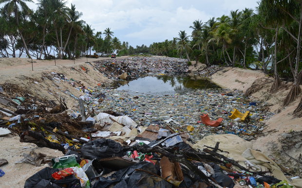 Photo looking down rectangular rubbish dump with palms on either side