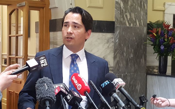 National MP Simon Bridges announces his intention to stand for the role of deputy prime minister.