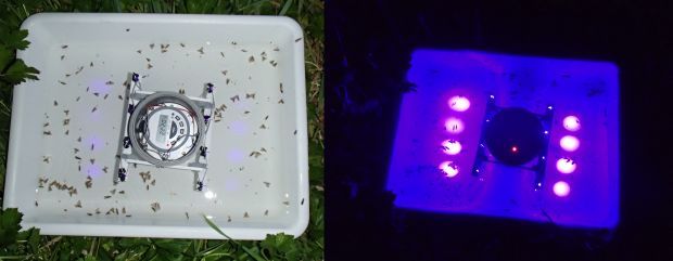 Ultraviolet LEDs being used in an insect light trap - photogrpaher with flash (at left) and in the dark (at right)