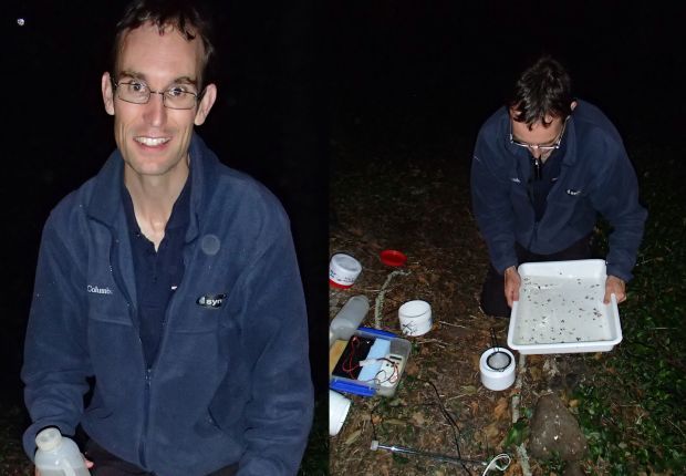 Richard Storey from NIWA emptying flying insects caught at a light trap