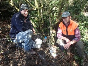 Brendon Cross and Rik Wilson setting a possum poison bait station