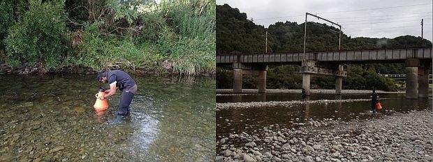 Testing water quality in the Hutt River