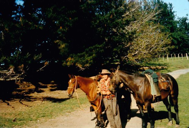 Bill Pullen and horses