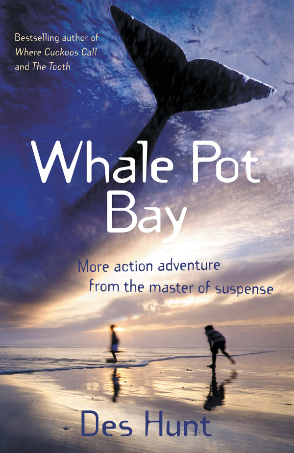 Whale Pot Bay by Des Hunt book cover
