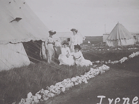 Meg Taylor, Hilda Ladley and Elsie Jackson at Irene camp, November 1902.