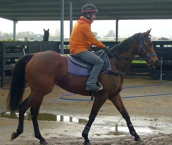 jockey and horse pike racing stables cambridge mcrae