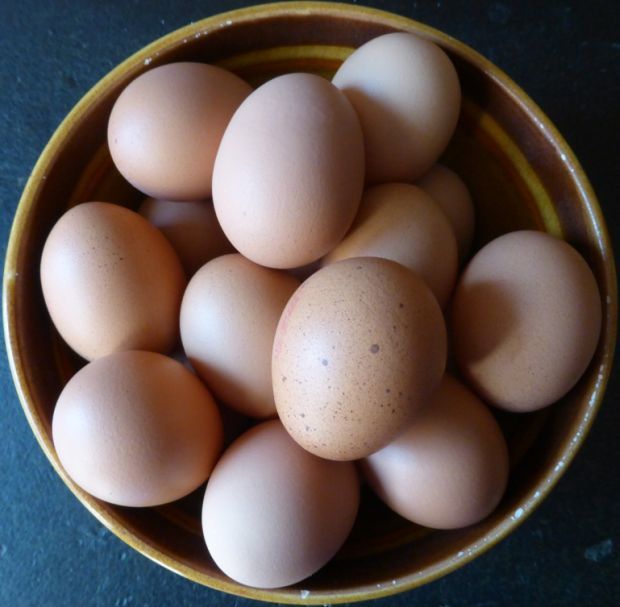 Eggs PD pixabay
