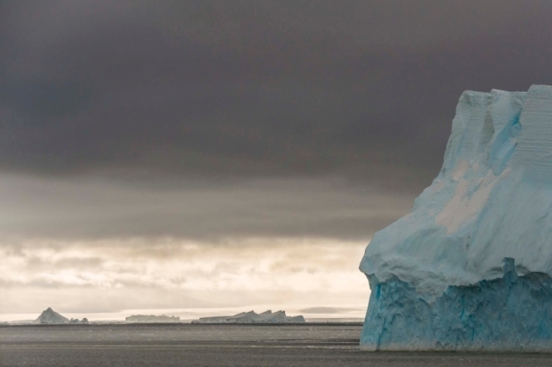 Iceberg Terra Nova Bay Photograph by Dave Allen on February