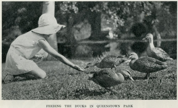 Feeding the ducks in Queenstown Park