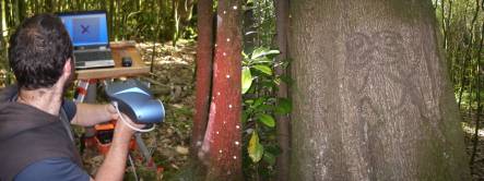 laser scanning in prorgress, and Moriori tree carving