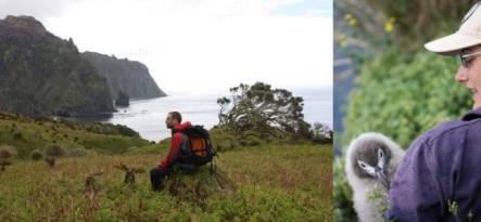 Gough Island, and Kalinka Rexer-Huber with a sooty albatross chick
