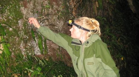 Miriam Sharpe collecting glow worms