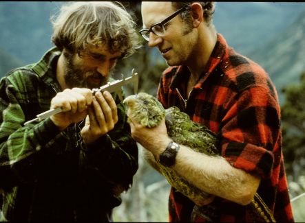 Don Merton (right) and Hugh Willoughby (left) with the kakapo Richard Henry when he was first captured in Fiordland in 1975