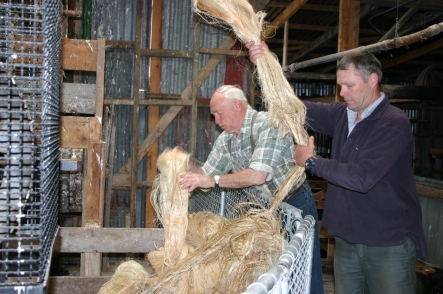 Des and his son Vaughn Templeton sort hanks of stripped and sun-bleached flax fibre for scutching.