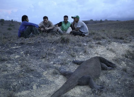 Cunning Komodo with the Rangers