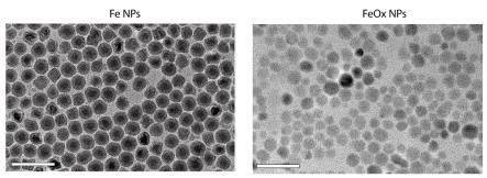 Magenetic Iron nanoparticles
