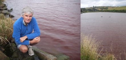 Marc Schallenberg at Tomahawk lagoon which is red from an algae bloom