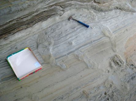 Dinosaur prints and the mould setting