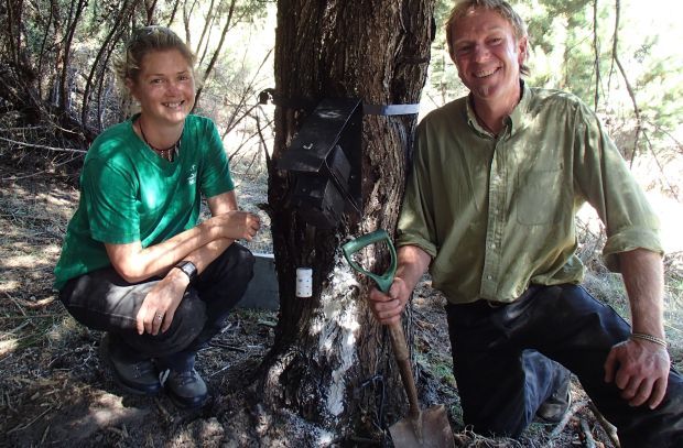 Sam Brown and John Williams next to a possum trap that is being monitored to see if urine from a female possum in oestrus is an effective lure
