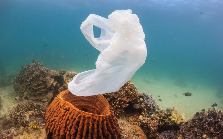 https://www.radionz.co.nz/news/national/376694/plastic-bags-to-be-phased-out-by-the-middle-of-2019