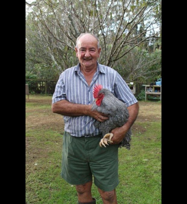 Ken Vincent and one of his champion roosters