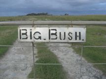 Raana big bush
