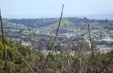 View to Nelson from the Whenua burial plot