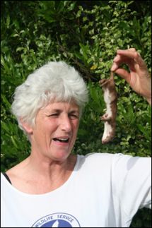 Conservation Scientist Raewyn Empson with the rogue weasel