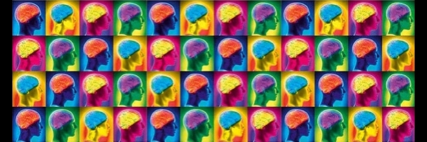 Great myths of the brain