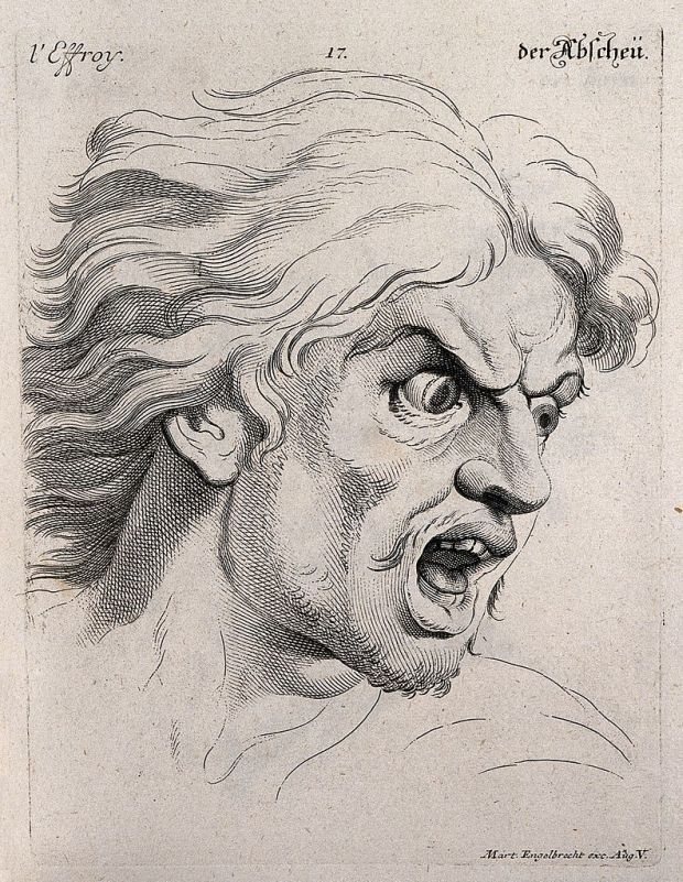 The face of a man experiencing fear Engraving by M Engelbrecht After C Le Brun CC BY Wellcome Library London