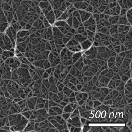 Electron microscope image of carbon nanotubes