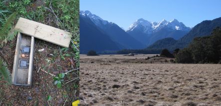 Stoat trap, and view of Eglington Valley