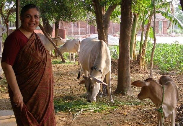 Vandana Shiva Towards Agroecology cropped