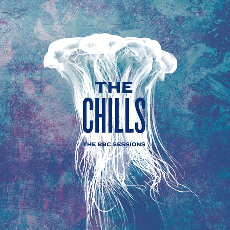 the chills bbc sessions