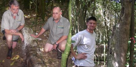 Ken Hunt and Richard Estes next to a fallen tree with a carving, and Richard Hemi next to dead standing tree