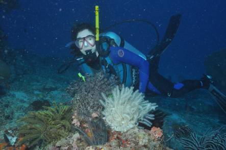 Producer Alison Ballance dives on the Great Barrier Reef - coral reefs are expected to be impacted by rising levels of carbon dioxide in the ocean