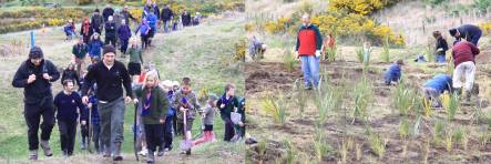 Keen volunteeers head to the planting site, and the wetland area planted out in some of the 10,000 new plants