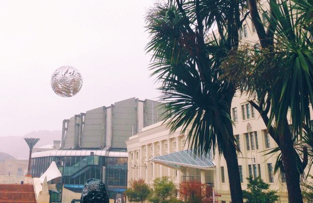 Suspended fern sphere at Civic Square