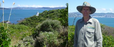 Peter Russell, and flourishing bush on Matiu/Somes Island