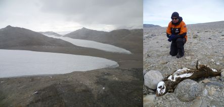 Southern Dry Valleys of Antarctica and Jonathon Banks with a mummified crabeater seal