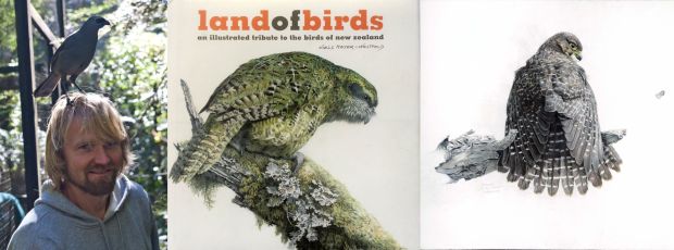 Land of Birds