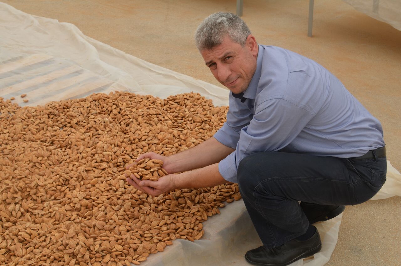 Saleem Abu Ghazaleh fair trade director of the Palestinian Agricultural Relief Committee