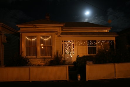 Lighted house moon cat.