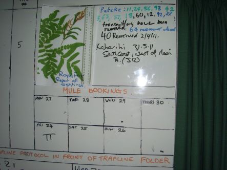 Kiwi White board keeps track of weeds and wildlife small