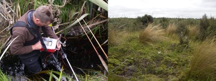 Water quality moniroting in streams around the Waituna catchment