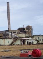 Patea meatworks after the February fire that released asbestos in to the atomosphere